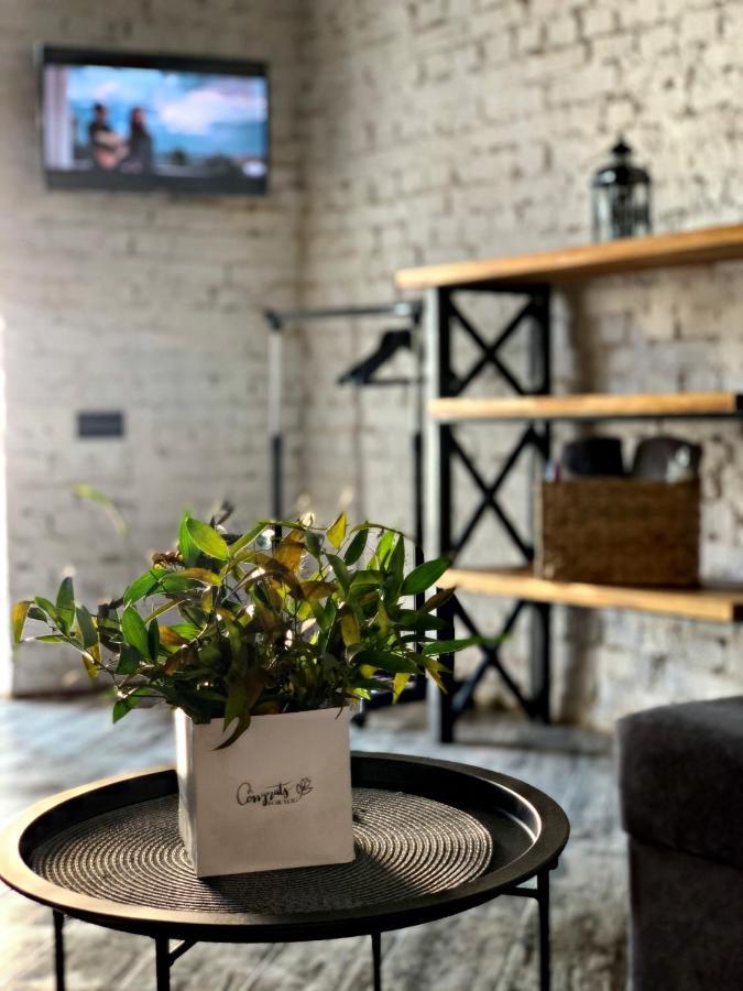 Luxury_Loft Apartment Камианец-Подилский Екстериор снимка