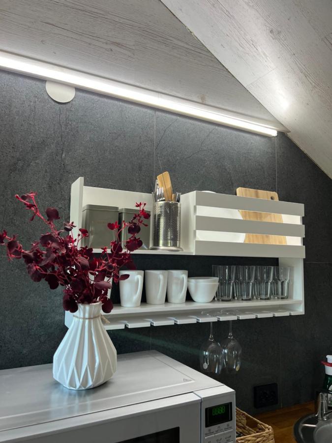 Luxury_Loft Apartment Камианец-Подилский Екстериор снимка